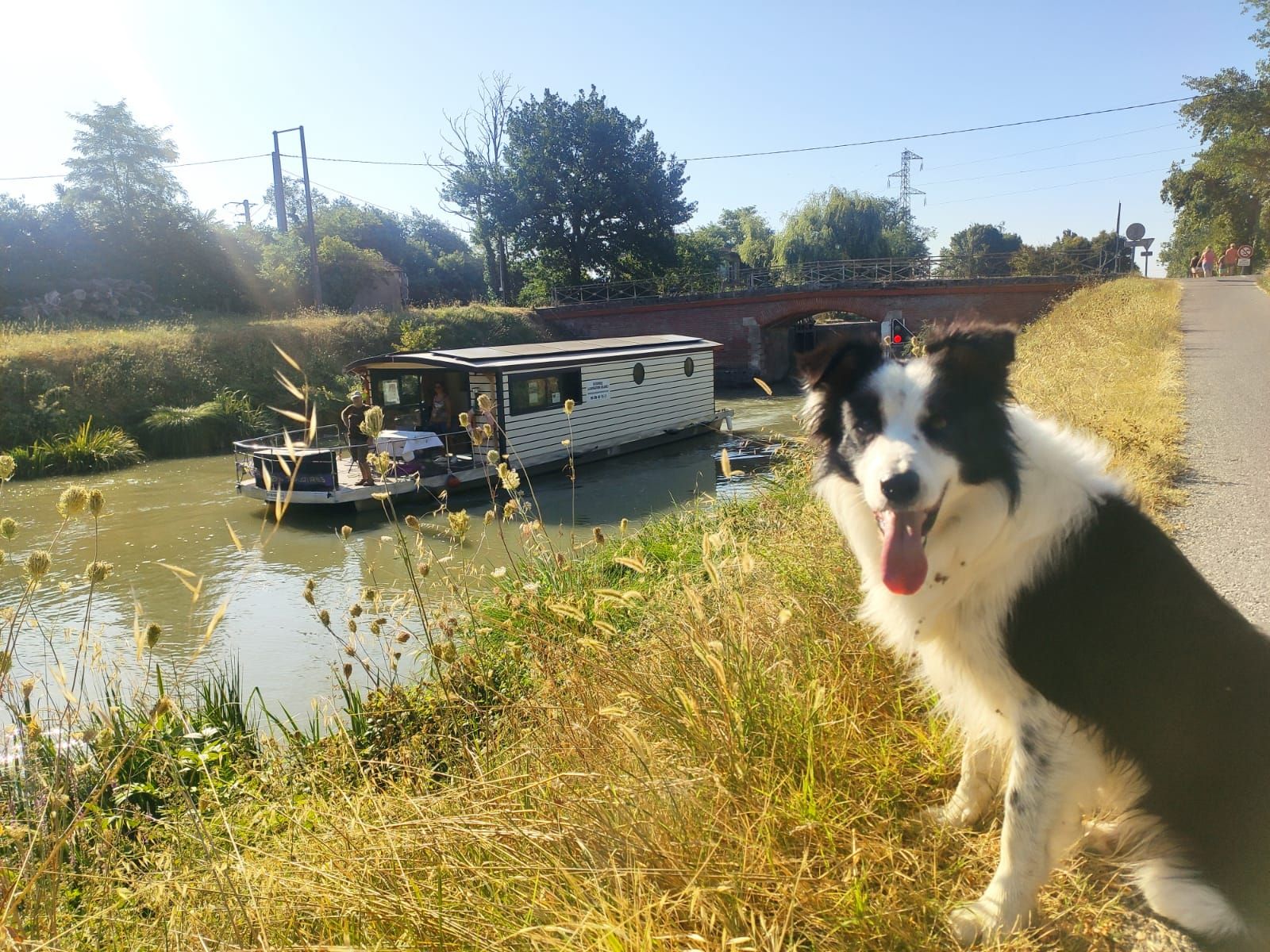 Eh'lectrique a réalisé l'installation du système photovoltaïque d'une péniche 100% solaire et dog friendly